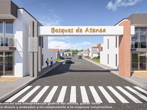 BOSQUES DE ATENEA