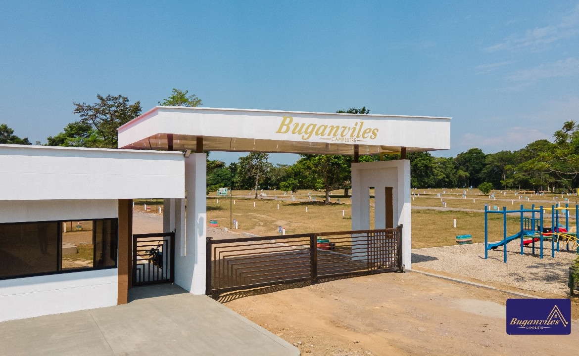 BUGANVILES CAMPESTRE