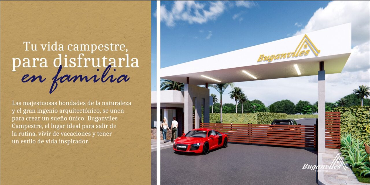 BUGANVILES CAMPESTRE